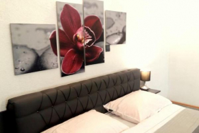 CityCentralOldTown*PrivateParking* BestLocation